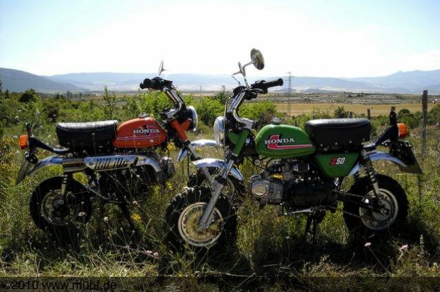 die Orange hat eine Zwillings-Schwester bekommen